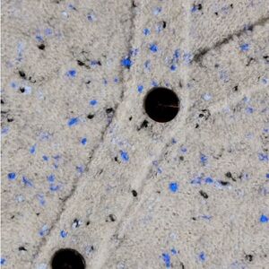 Theory Blue Speckled Cardigan